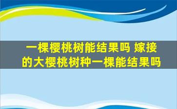 一棵樱桃树能结果吗 嫁接的大樱桃树种一棵能结果吗